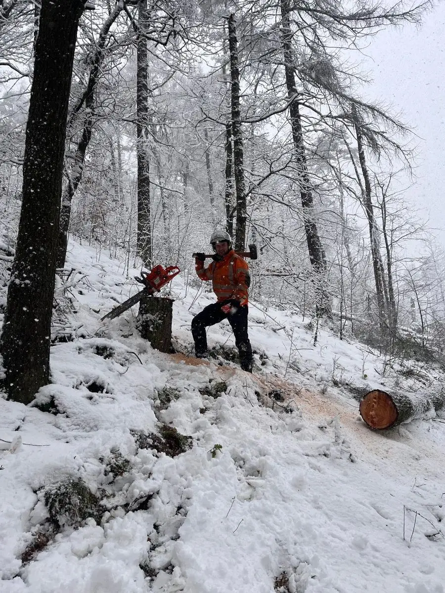 Tree surgeon working in heavy snow
