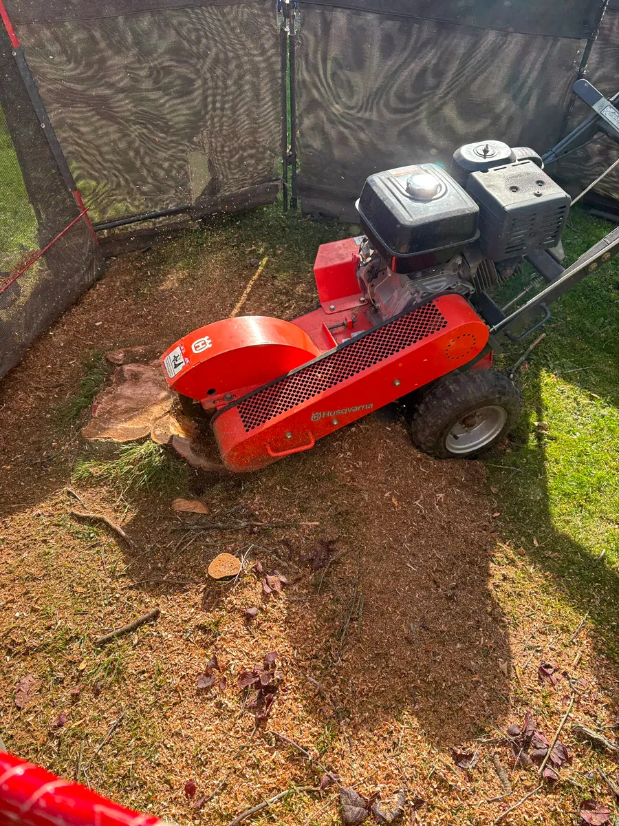 The grinding wheel part way through a stump, with grindings spread across the lawn behind the machine